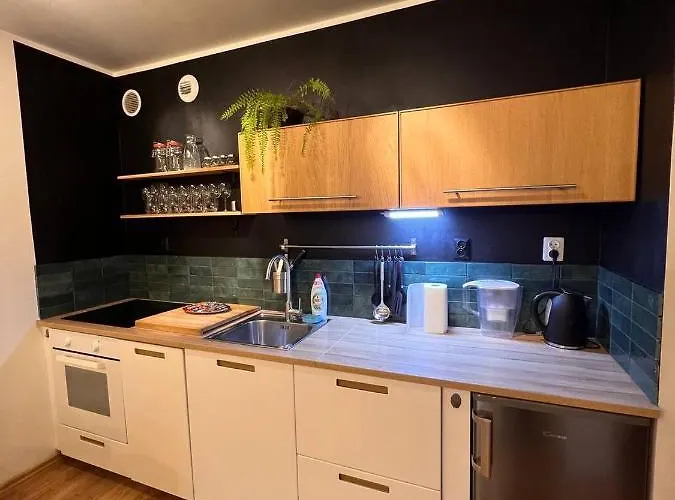 Apartmán Dmowskiego 19c Tectum