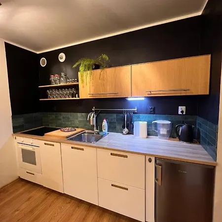 Апартаменты Dmowskiego 19c Tectum